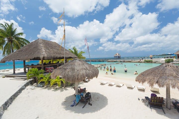 Chankanaab Park Cozumel: Snorkel the Mesoamerican Reef with Lunch and Beach Access photo 3