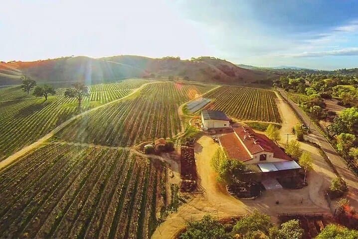 Discovery Flight Over Paso Robles Wine Country — 30-Minute Private Plane Experience photo 3