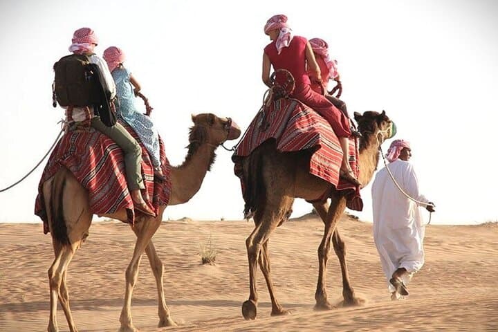 Qatar Sunset Desert Safari — Dune Bashing, Camel Rides & Inland Sea Views photo 3