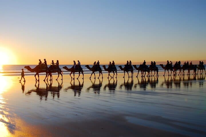 2-Hour Camel Ride in Djerba Lagoon: Guided Camel Trek Through Berber Villages photo 2
