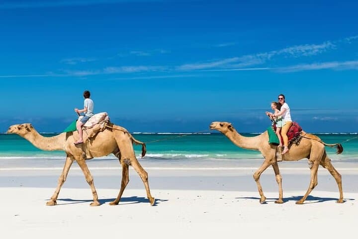 2-Hour Camel Ride in Djerba Lagoon: Guided Camel Trek Through Berber Villages photo 3