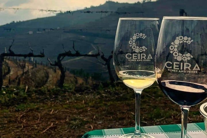 Full-Day Douro Valley Wine Tour: Vineyards, Port Tastings & Vineyard Picnic