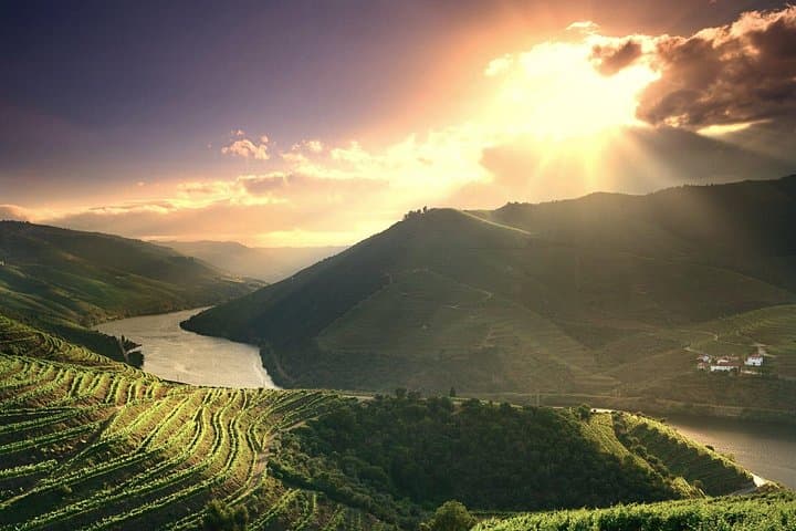 Full-Day Douro Valley Wine Tour: Vineyards, Port Tastings & Vineyard Picnic photo 2