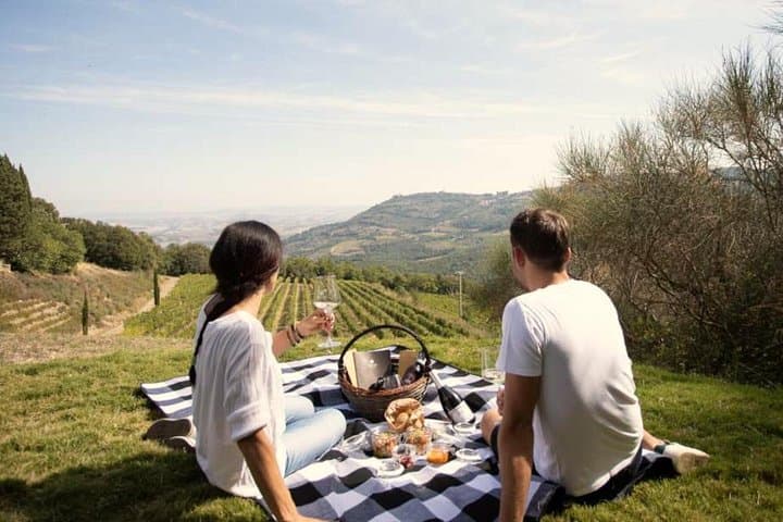 Full-Day Douro Valley Wine Tour: Vineyards, Port Tastings & Vineyard Picnic photo 4