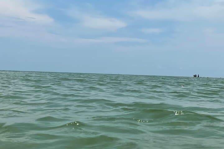Exploring Sanibel Island: A Private Dolphin and Sightseeing Boat Tour Adventure photo 5