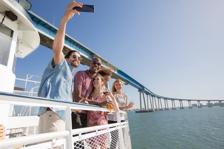 San Diego Harbor Cruise: 90-Minute Narrated Bay Tour & Sea Life Viewing photo 2