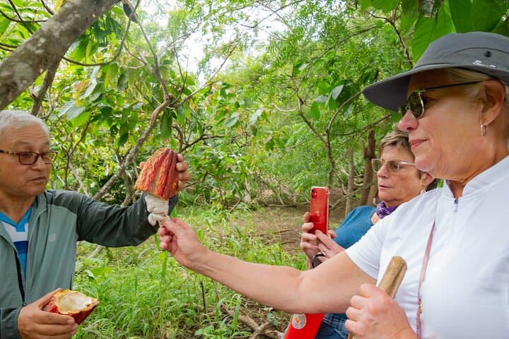 Churute Mangrove Reserve & Cocoa Farm Day Trip from Guayaquil
