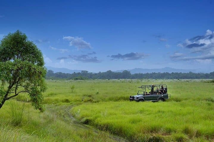 Chitwan Tower Night Stay: 3-Night Jungle Safari & Rapti River Canoe photo 2