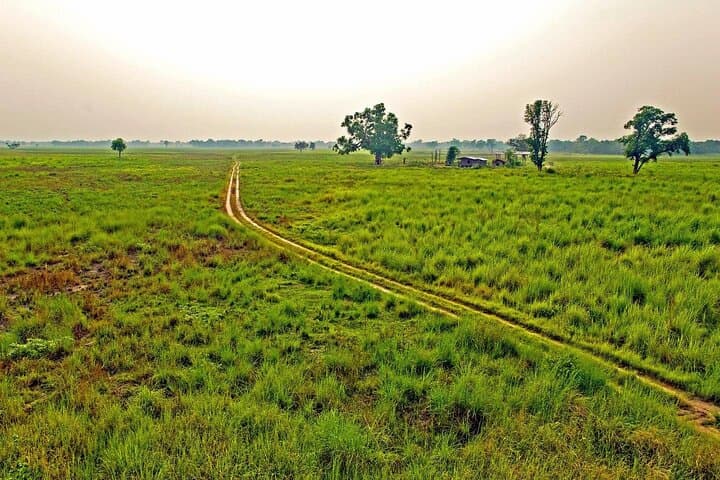 Chitwan Tower Night Stay: 3-Night Jungle Safari & Rapti River Canoe photo 4