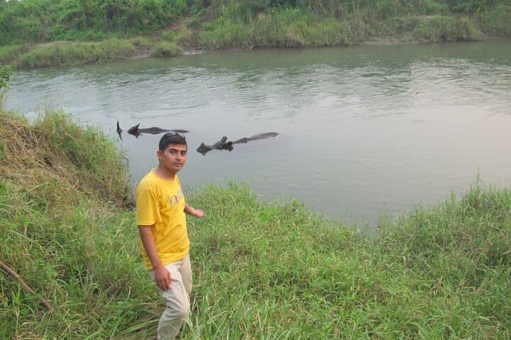 Chitwan Tower Night Stay: 3-Night Jungle Safari & Rapti River Canoe photo 6