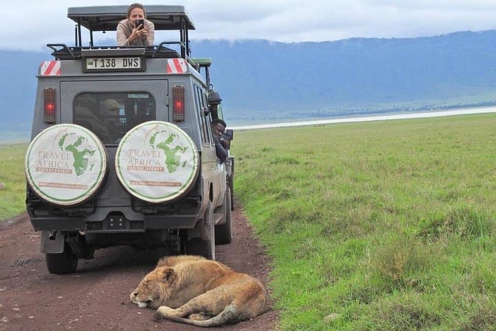 Ngorongoro Crater Full-Day Safari from Arusha — Big Five, Hippo Pool & Flamingos photo 4