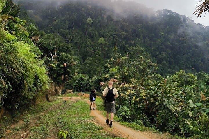 Ha Giang One-Day Trek: Tay & Dao Village Hike Through Terraced Fields photo 3