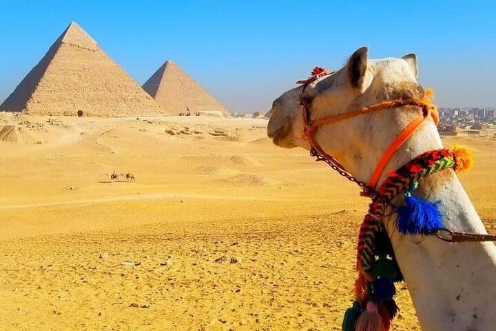 10-Day Egypt Adventure — Cairo, Nile Cruise & White Desert Camping