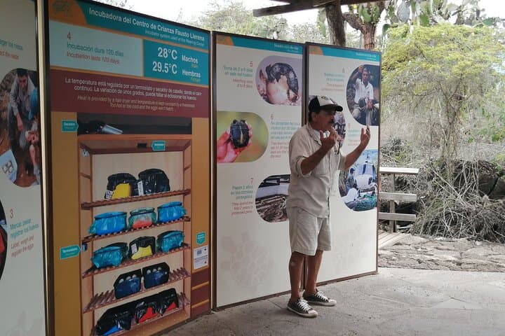 7-Day Galapagos Santa Cruz & Isabela Islands with Quito Highlights photo 5