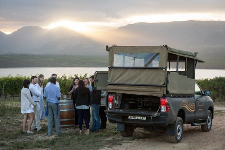 Benguela Cove Vineyard Safari: Ocean-Facing Vines & Guided Wine Tasting in Hermanus