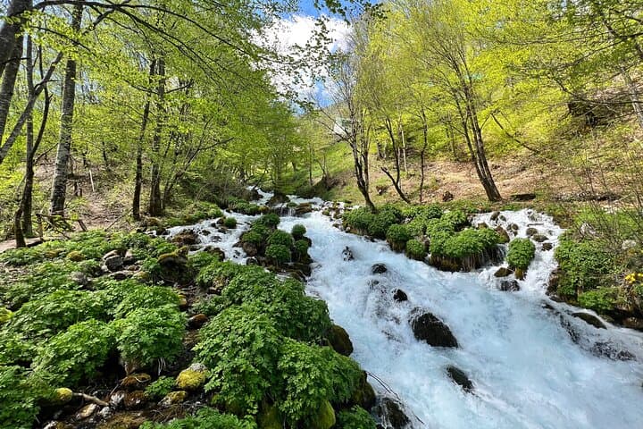 Durmitor Day Trip: Black Lake & Tara River Canyon from Podgorica photo 5