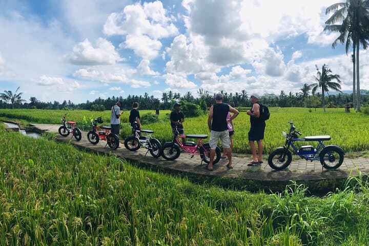 Half-Day Electric Fat Bike Tour of Ubud — Ride Tegalalang's UNESCO Rice Terraces photo 2