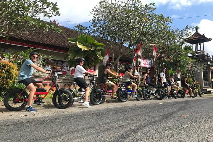 Half-Day Electric Fat Bike Tour of Ubud — Ride Tegalalang's UNESCO Rice Terraces photo 4