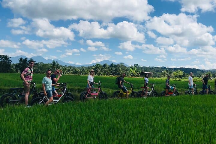 Half-Day Electric Fat Bike Tour of Ubud — Ride Tegalalang's UNESCO Rice Terraces photo 3
