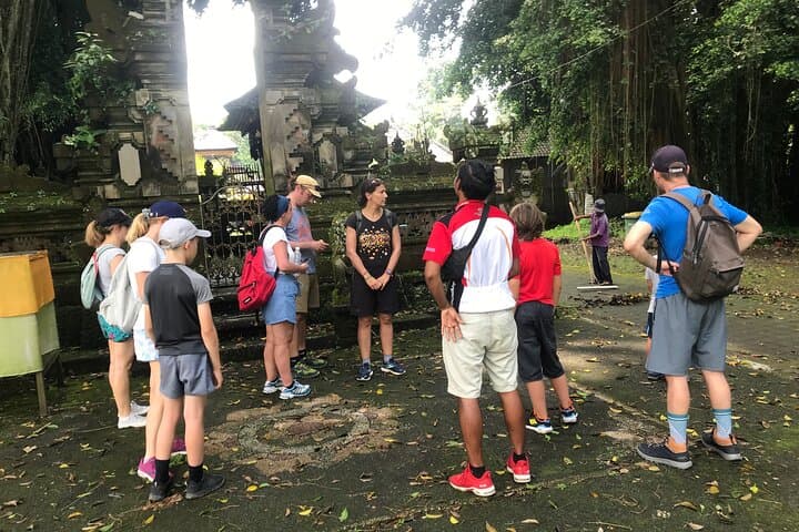 Half-Day Electric Fat Bike Tour of Ubud — Ride Tegalalang's UNESCO Rice Terraces photo 6