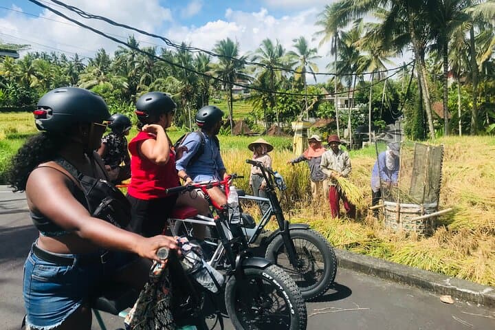 Half-Day Electric Fat Bike Tour of Ubud — Ride Tegalalang's UNESCO Rice Terraces photo 5