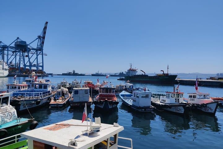 3-Day Valparaíso & Casablanca: Penguin Island, Wineries & Ritoque Dunes photo 5
