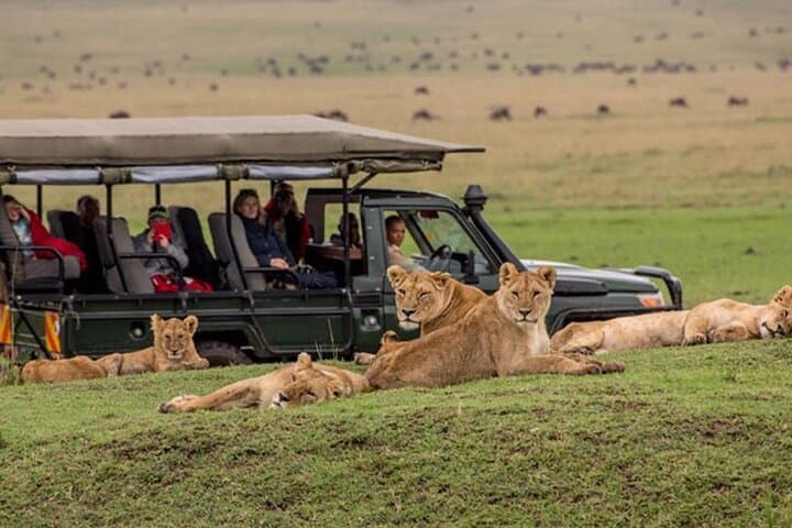 Maasai Mara 3-Day Flying Safari: Big Five, Wildebeest Crossings & Cultural Encounters photo 5