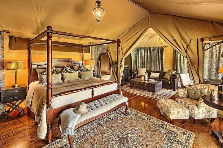 Maasai Mara 3-Day Flying Safari: Big Five, Wildebeest Crossings & Cultural Encounters
