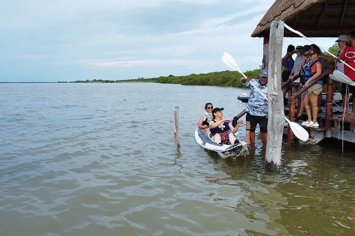 Yucatán Coastal Tour: Chuburná, Isla Columpios & Progreso from Mérida