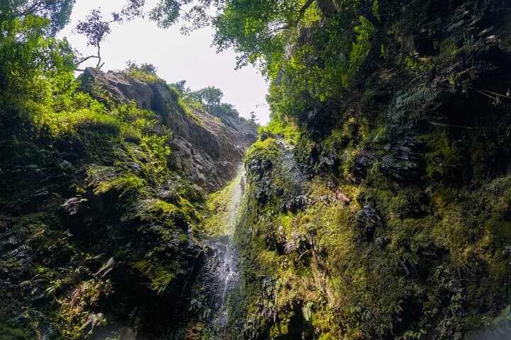 Cloud-Forest Hike in Chicaque Natural Park: Private Day Tour from Bogotá photo 3