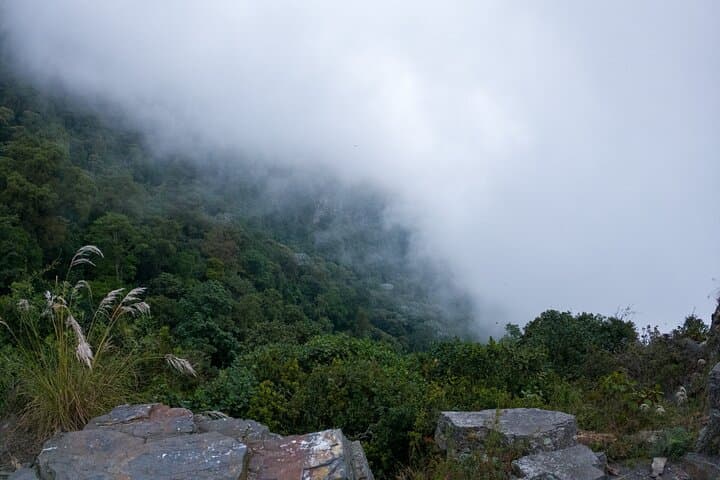 Cloud-Forest Hike in Chicaque Natural Park: Private Day Tour from Bogotá photo 4