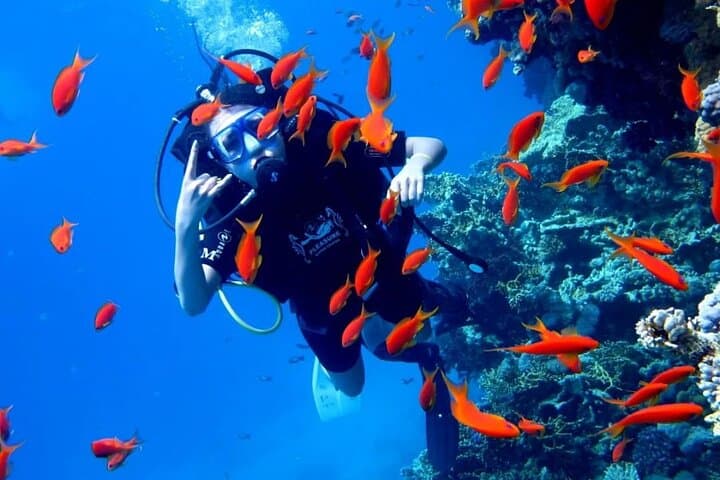 Orange Island Sea Adventure: Snorkel & Intro Dive from Hurghada
