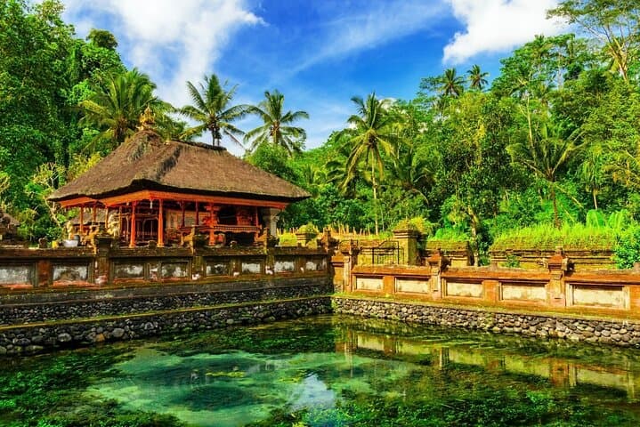 Full-Day Ubud Cultural Tour: Monkey Forest, Waterfalls, Rice Terraces & Swing photo 6