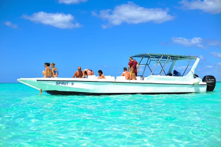 Full-Day Isla Saona Excursion from Santo Domingo — Catamaran, Natural Pool & White-Sand Beaches