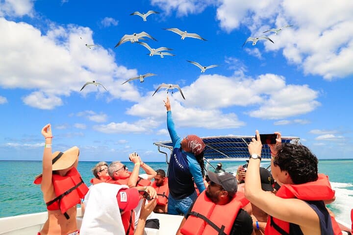Full-Day Isla Saona Excursion from Santo Domingo — Catamaran, Natural Pool & White-Sand Beaches photo 2