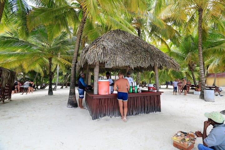 Full-Day Isla Saona Excursion from Santo Domingo — Catamaran, Natural Pool & White-Sand Beaches photo 3