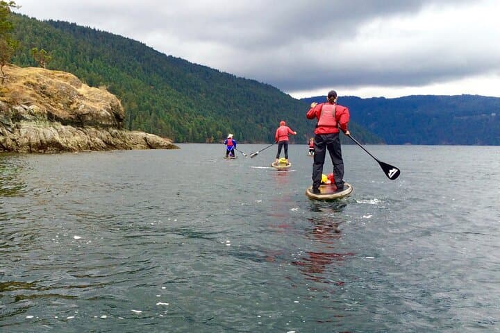 Finlayson Arm Fjord SUP: 6-Hour Paddle Through Glacial Cliffs and Wildlife photo 3