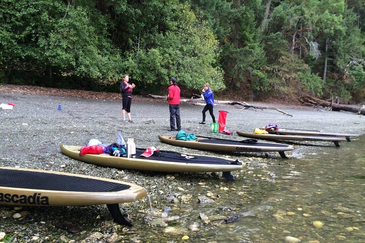 Finlayson Arm Fjord SUP: 6-Hour Paddle Through Glacial Cliffs and Wildlife photo 4