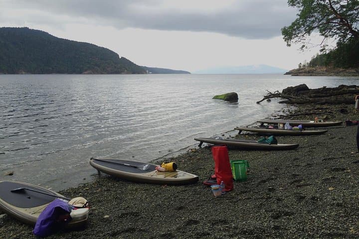 Finlayson Arm Fjord SUP: 6-Hour Paddle Through Glacial Cliffs and Wildlife photo 5