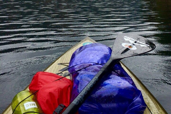 Finlayson Arm Fjord SUP: 6-Hour Paddle Through Glacial Cliffs and Wildlife photo 6