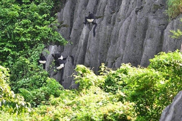 Full-Day Cuc Phuong National Park Hiking Tour — Ninh Binh Loop & Primary Forest Hike photo 2