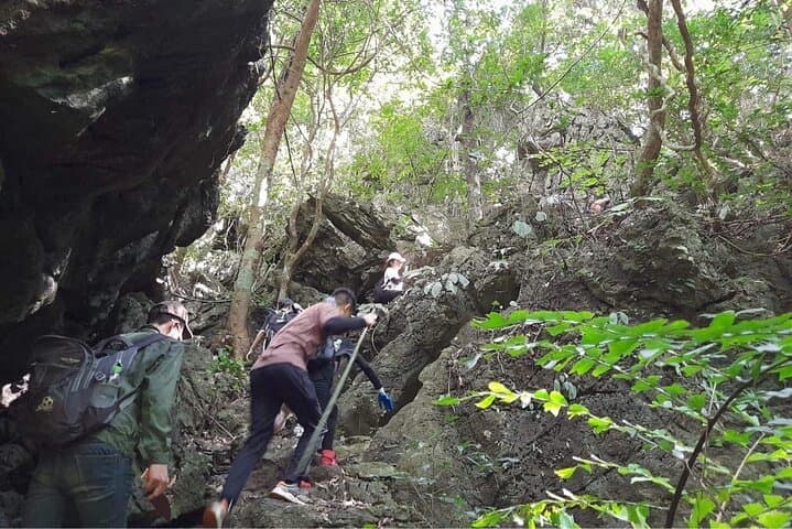 Full-Day Cuc Phuong National Park Hiking Tour — Ninh Binh Loop & Primary Forest Hike photo 4