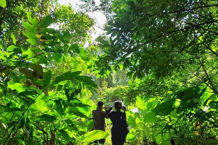 Full-Day Cuc Phuong National Park Hiking Tour — Ninh Binh Loop & Primary Forest Hike photo 5