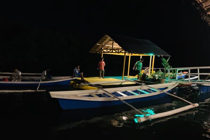 Puerto Princesa Firefly Watching: Night River Cruise in Palawan photo 3