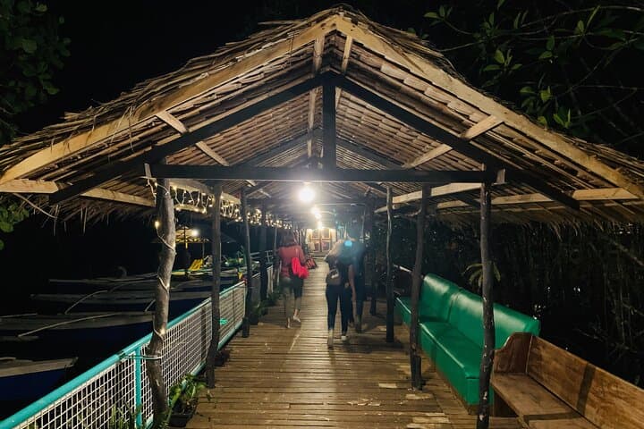 Puerto Princesa Firefly Watching: Night River Cruise in Palawan photo 4