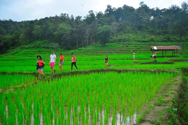Two-Day Chiang Mai Hike to Karen Village and Jungle Waterfalls photo 5
