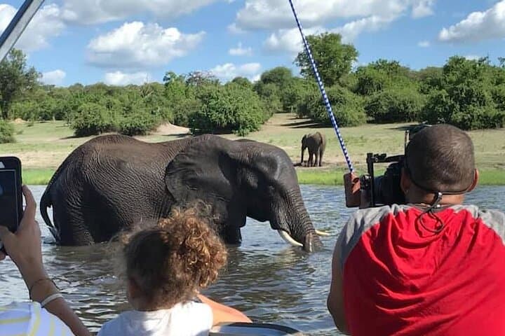 Chobe Day Trip from Livingstone: Chobe River Cruise & Game Drive photo 2