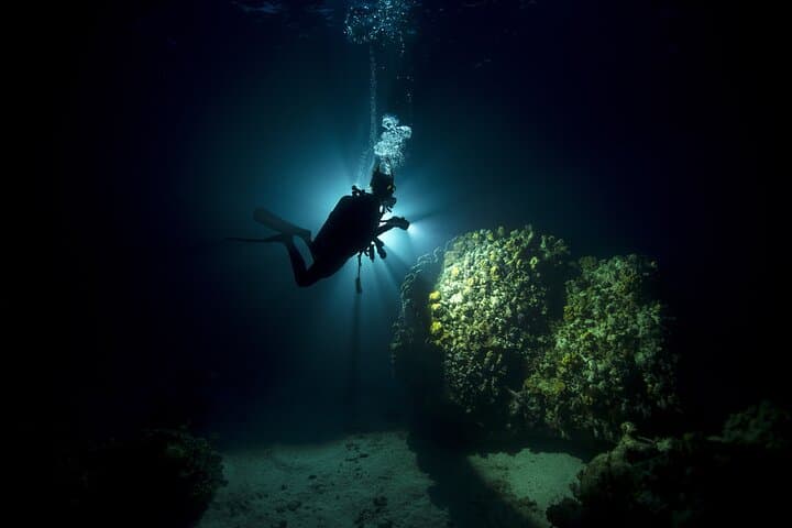 Fujairah Night Dive & Live BBQ: Bioluminescence, Hidden Reef Life, After-Dive Feast photo 2