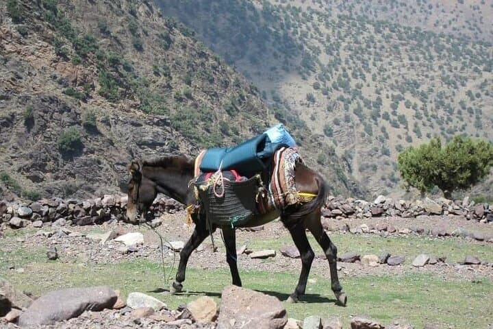 Berber Villages Trek in the High Atlas: 3-Day Imlil to Azzaden Valley Trek