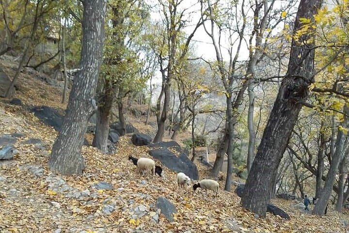 Berber Villages Trek in the High Atlas: 3-Day Imlil to Azzaden Valley Trek photo 4